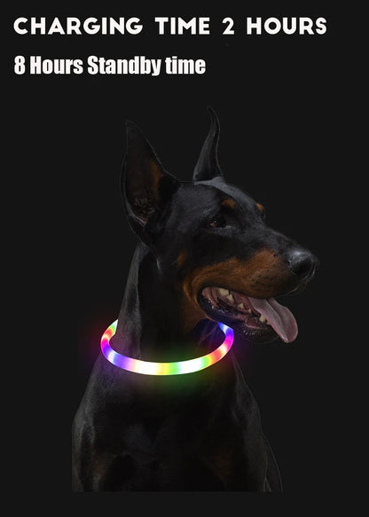 Led Dog Collar Luminous Usb Cat Dog Collar 3 Modes Led Light Glowing Loss Prevention LED Collar For Dogs Pet Dog Accessories