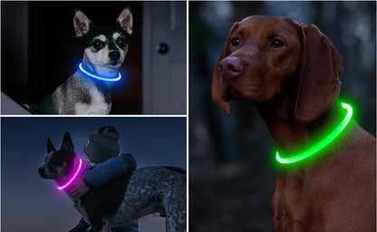 Led Dog Collar Luminous Usb Cat Dog Collar 3 Modes Led Light Glowing Loss Prevention LED Collar For Dogs Pet Dog Accessories