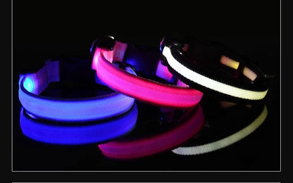 Dog Collar Nylon LED Night Safety Flashing Glow In The Dark Pet Dog Leash pet Dogs Luminous Fluorescent  dog accessories collar